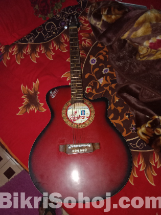 Signature Guitar with cover and Picks